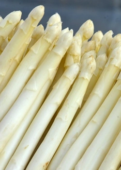 Spargel